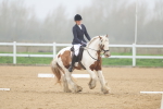 SBM_000879