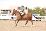 SBM_07465