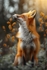 pr119 Daydreaming Fox in the Woods