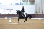 SBM_001304