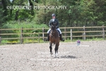 MFS NOVICE portfolio