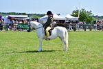 SBM_13948