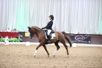 SBM_008365