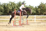 SBM_000163