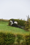 WJ5_7386