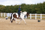 SBM_009676