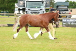 SBM_10371