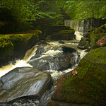 Healey Dell