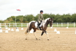 SBM_008655