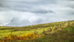 HILLSCAPE - BRANT COUNTY