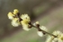 20120311-_MG_9388
