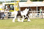 SBM_08561