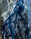 Rivers