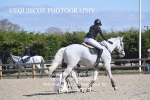 BPP_3079
