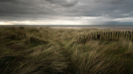Holme