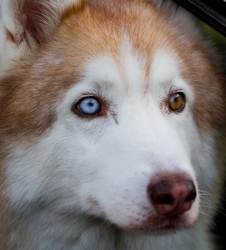 AnimalsCreatures _0076