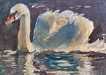 Swan