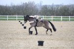 SBM_004402