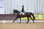SBM_002437