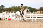 SBM_15992