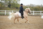 SBM_001455
