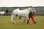 SBM_04268