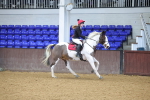 SBM_001626