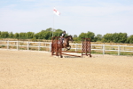 SBM_000990