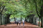Autunm walk_B0176