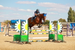 SBM_007401
