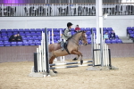 SBM_003639