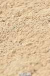 230611A-141422-06256