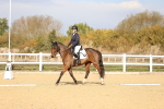 SBM_009172