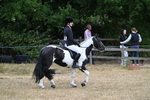 WJ7_7850