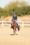 SBM_016838