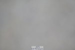 230721A-093111-04964