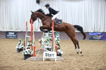 SBM_007616