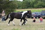 WJ6_5648