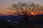 African Sunset