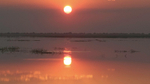 Chobe Sunset
