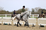 SBM_007554