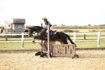 SBM_000345