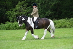 WJ7_2335