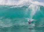 Dolphins in Wave 9