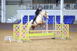 SBM_000341