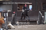 BPP_7167