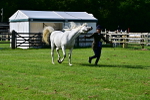 SBM_01046