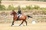SBM_003554