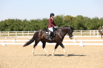 SBM_005636