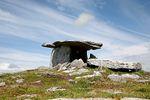 The Dolman Ireland